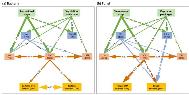 我區(qū)科研團隊發(fā)現(xiàn)土壤微生物在沙地生態(tài)系統(tǒng)恢復發(fā)揮重要作用