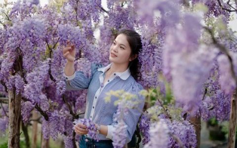 身邊的好教師 書寫芙蓉“樣范”｜蓉園小學(xué)羅美文：把愛和美的種子播撒進學(xué)生心田